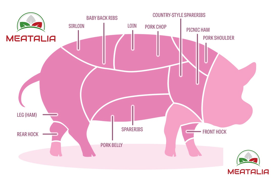 pork-cuts-101